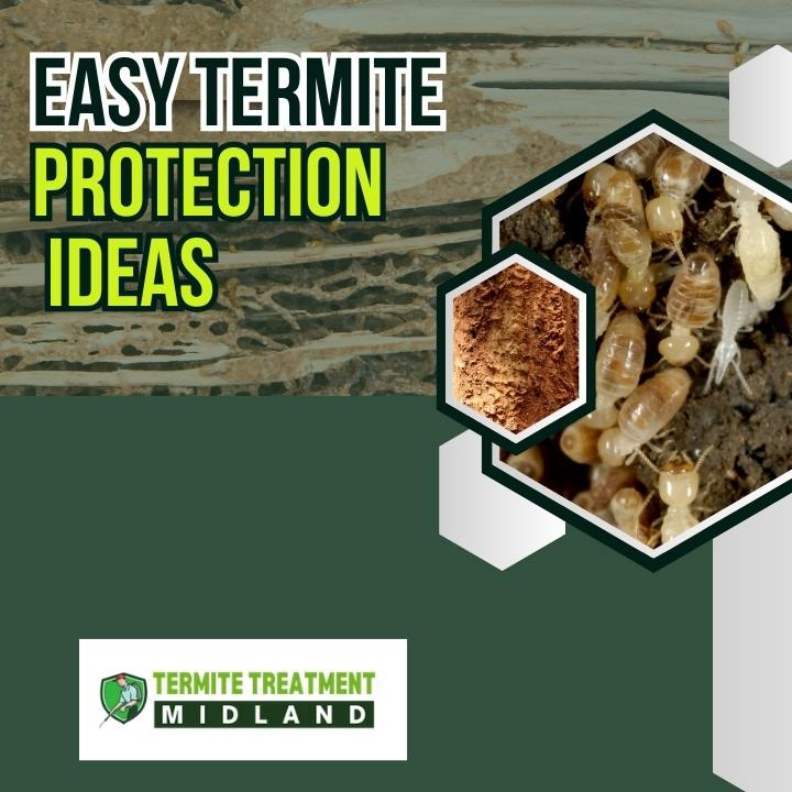 Termite home protection