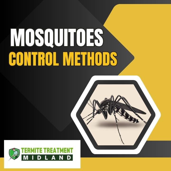Mosquito control treatment for peaceful outdoor nights.