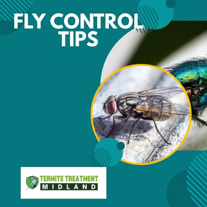 Home fly prevention