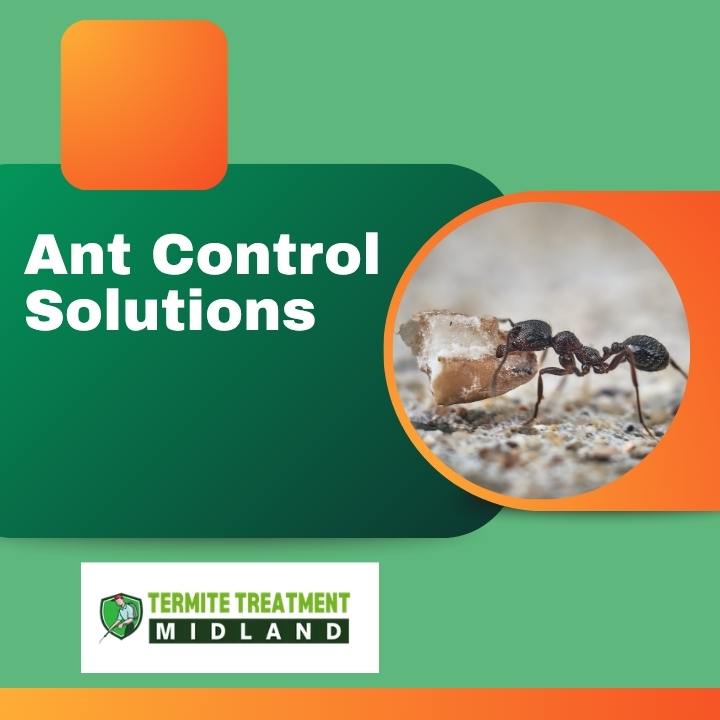 Ant prevention methods