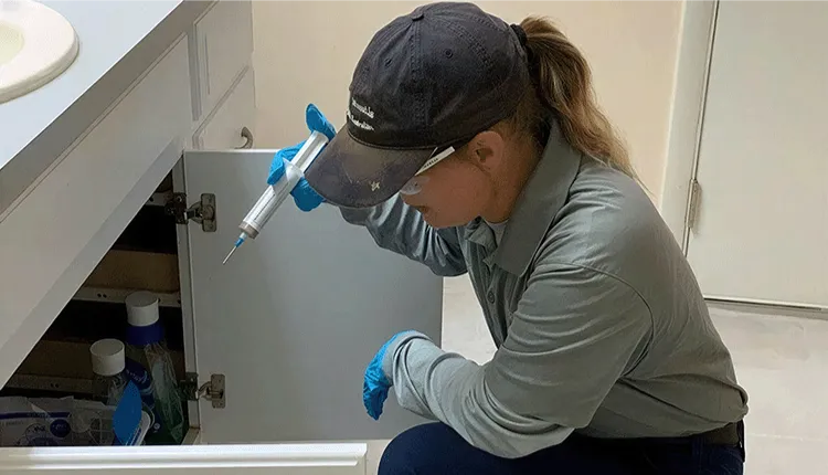 Pest control technician using a pressure sprayer for residential pest management, focusing on effective treatment solutions for common household pests.