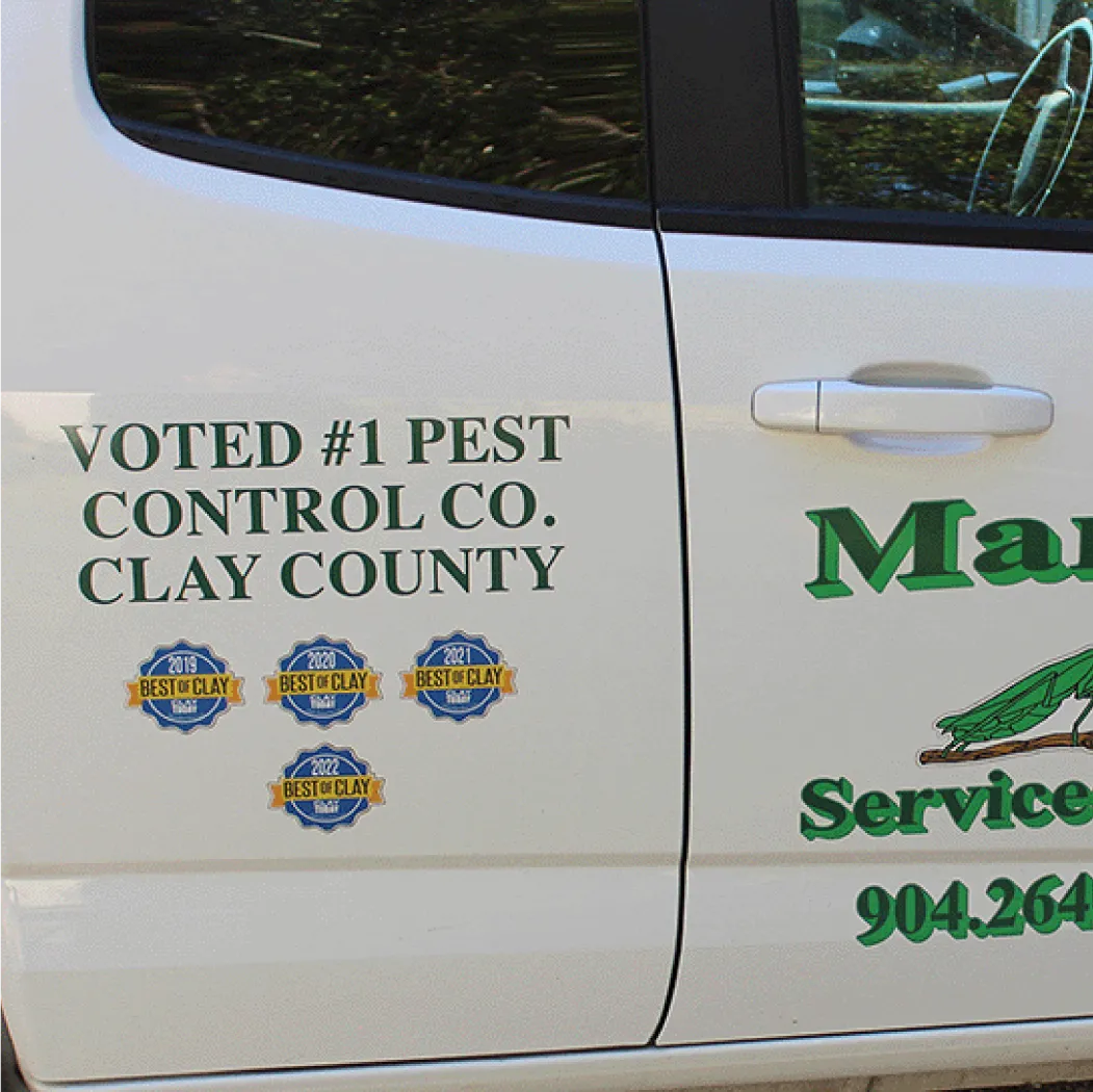 Lush green lawn with manicured shrubs, decorative flower beds, and a stone gazebo surrounded by trees, showcasing a serene outdoor space ideal for pest control services.