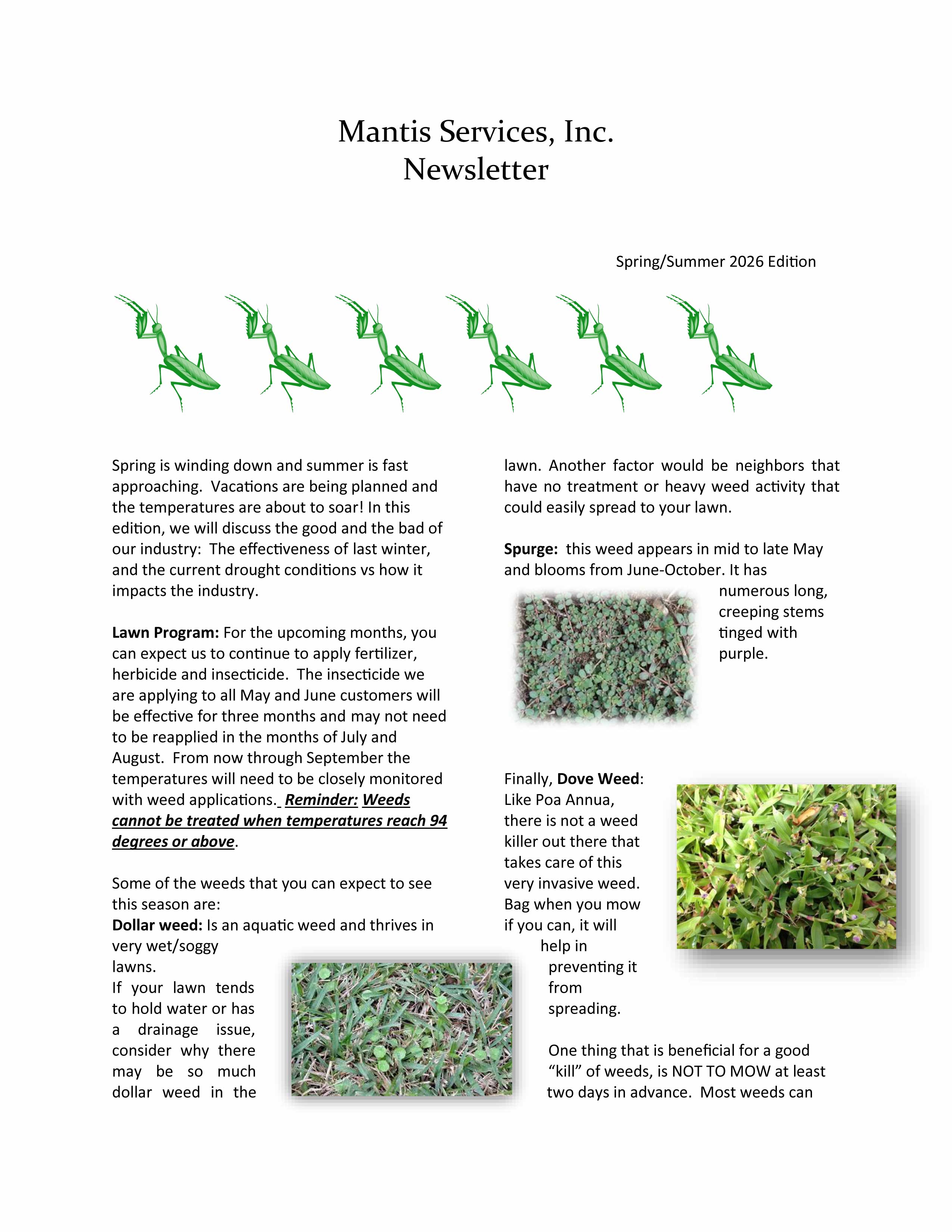 Mantis Services, Inc. newsletter featuring green mantis illustrations, New Year greeting for 2026, and information on winter weed management including Dollar Weed, Hawks Beard, and Wood Sorrel.