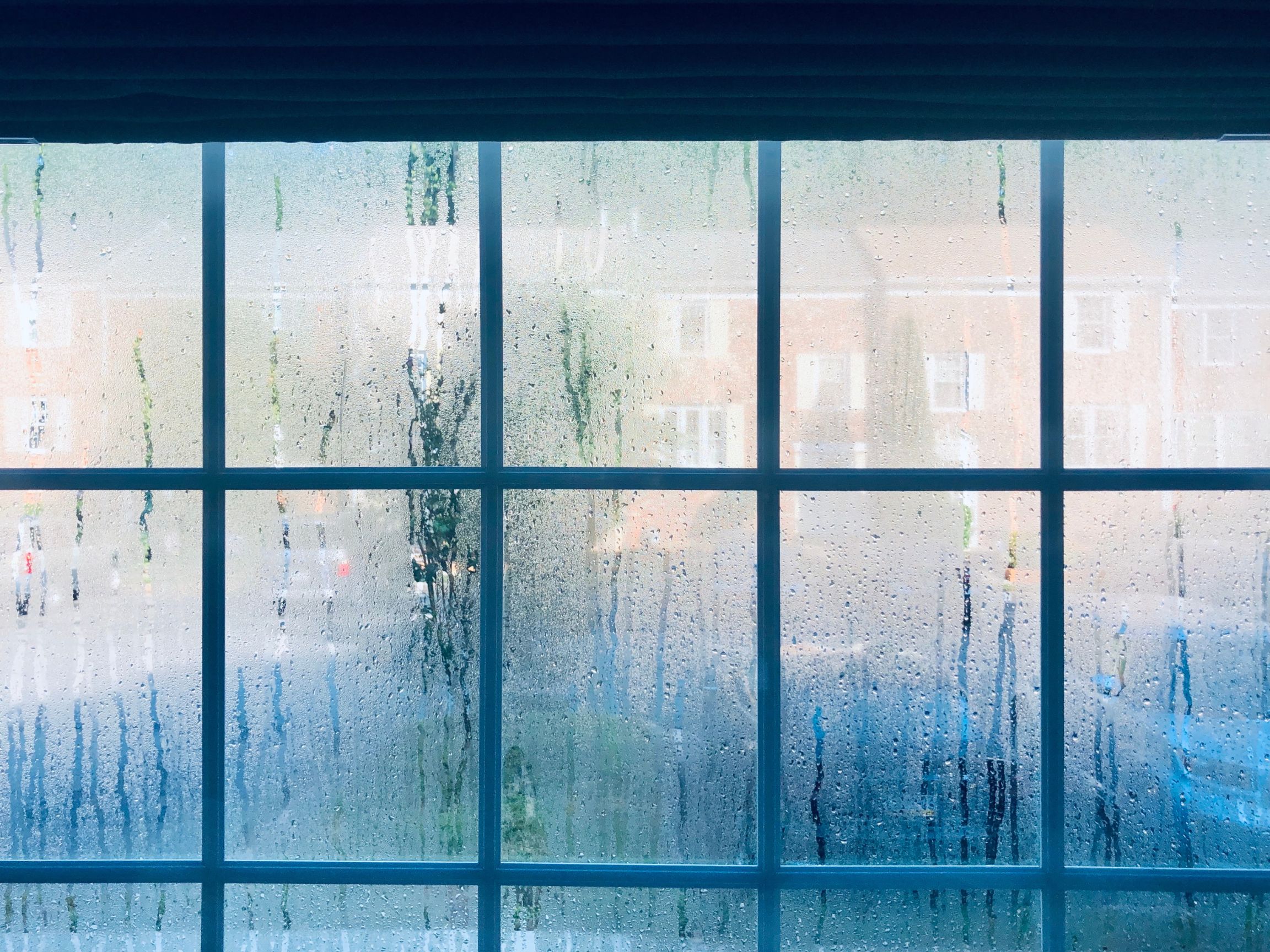Condensation & Morning Window Fog