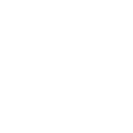 Feature checkmark icon