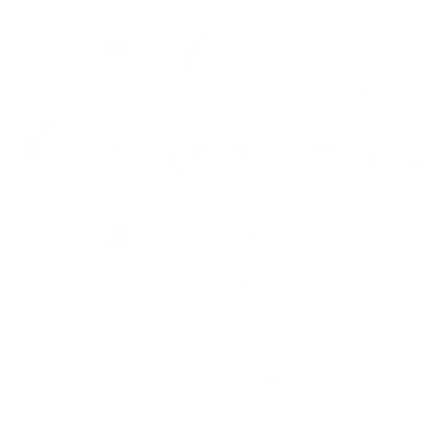 Umbrella with dollar sign symbolizing protection and growth through creative financing and smart money strategies.