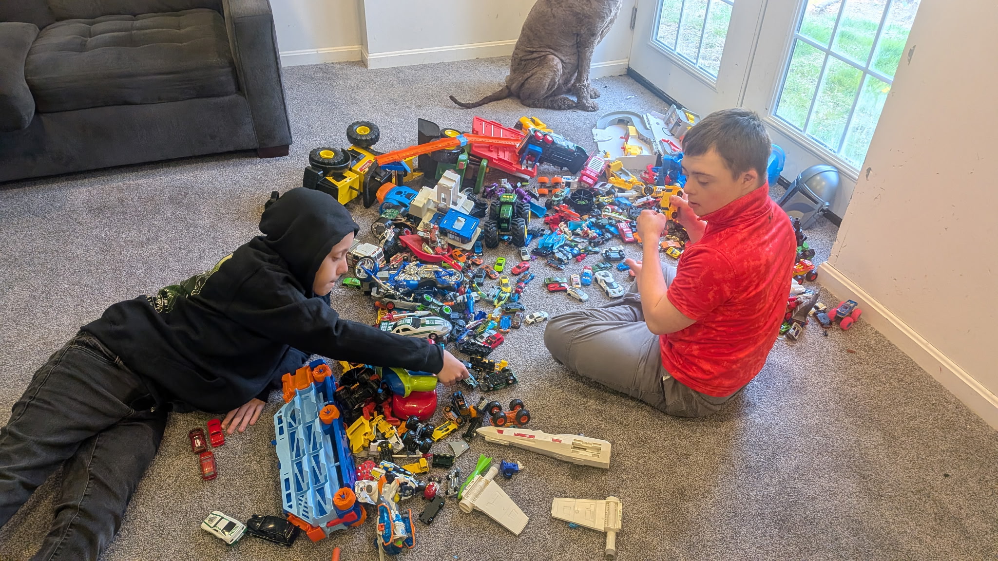 When Noah Decides Social Time is Over