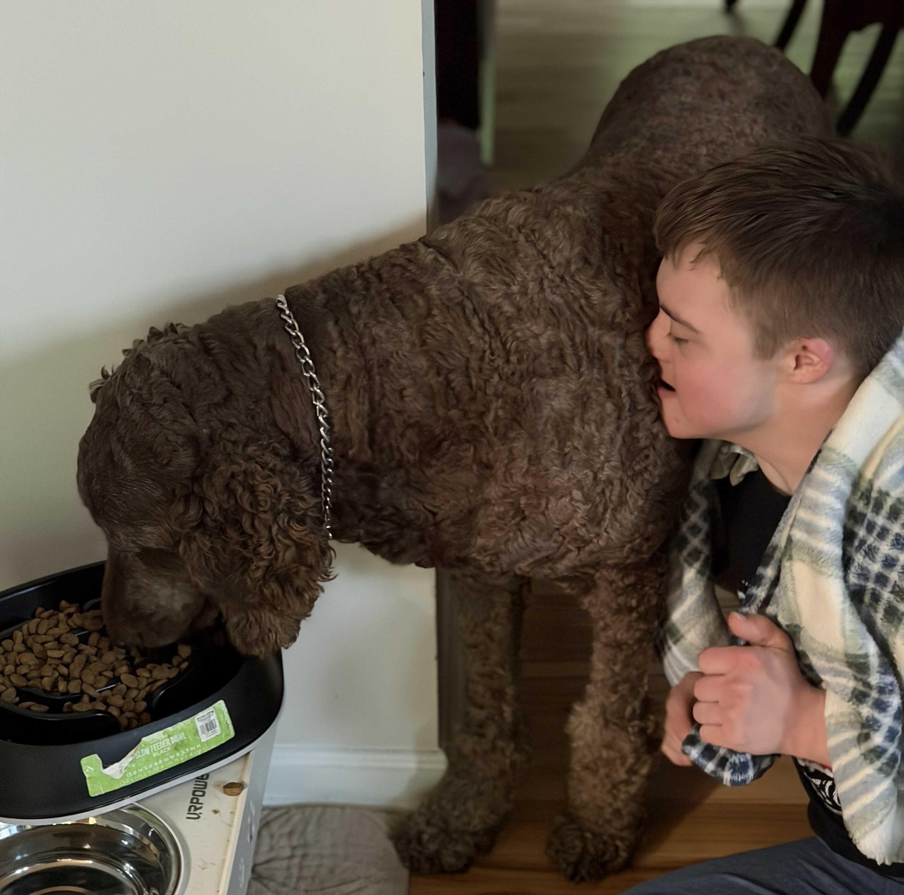 From Locks to Ozzy: When Safety Needed a Four-Legged Upgrade