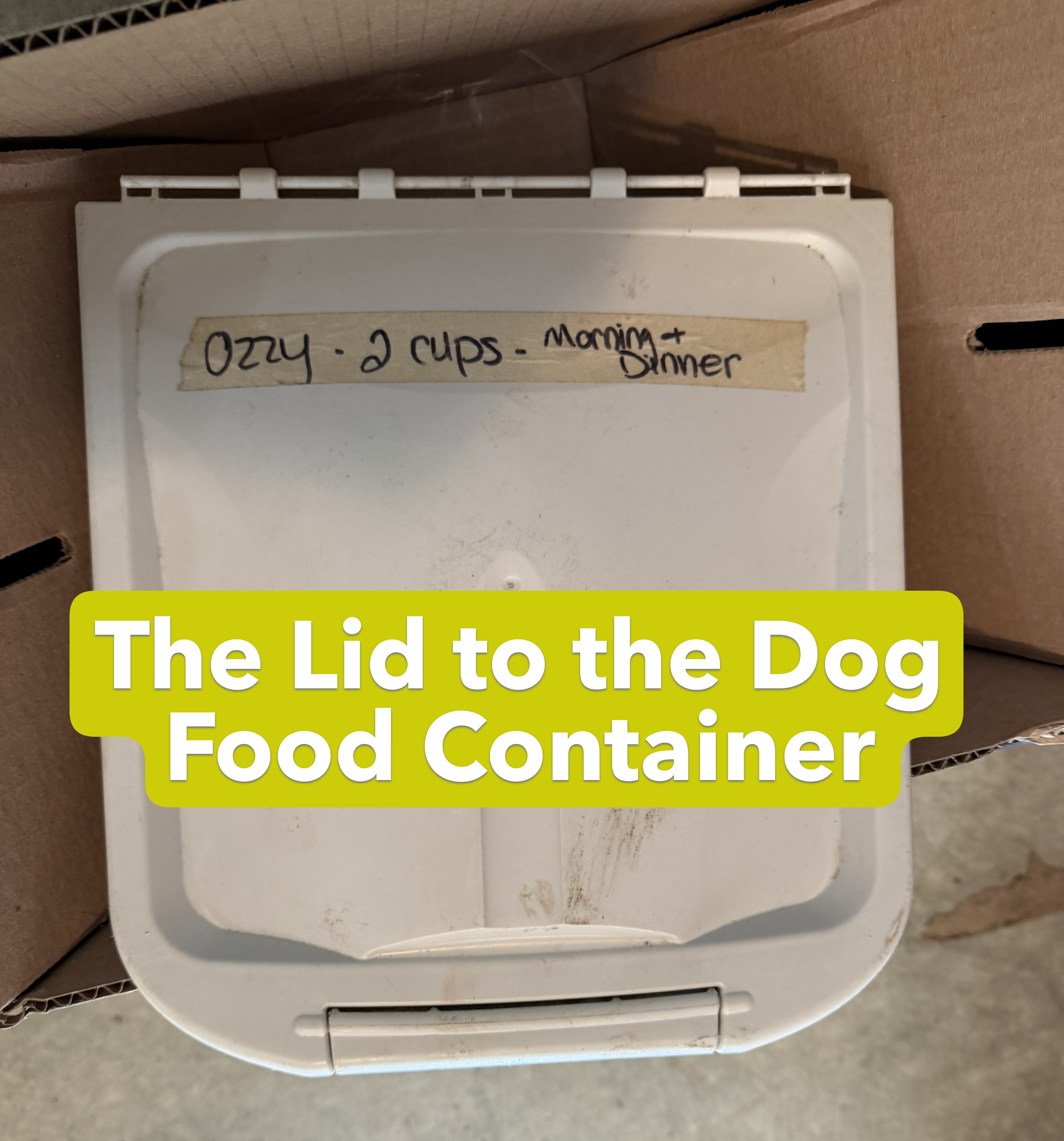 The Case of the Missing Dog Food Container