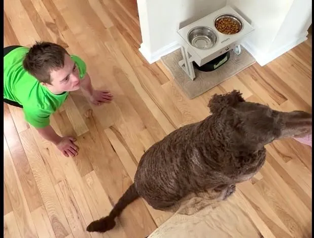 If You Cannot Beat the Dog, Become the Dog