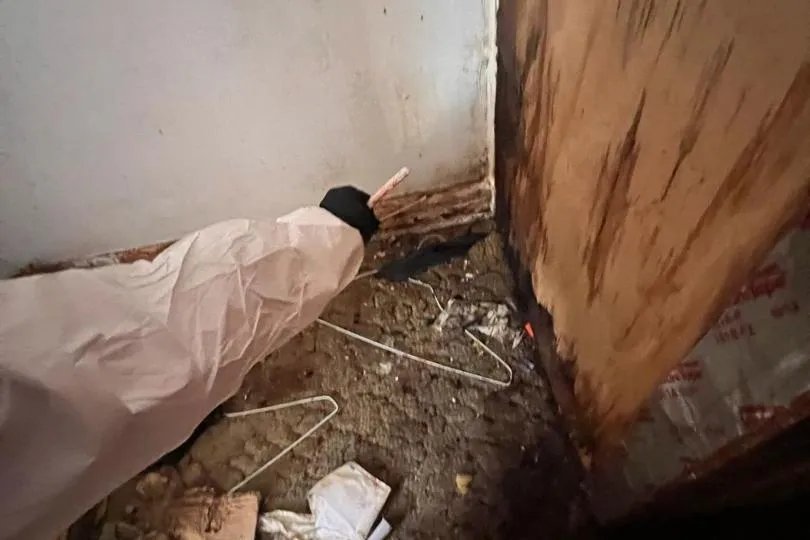 a couple of surgeons performing surgery