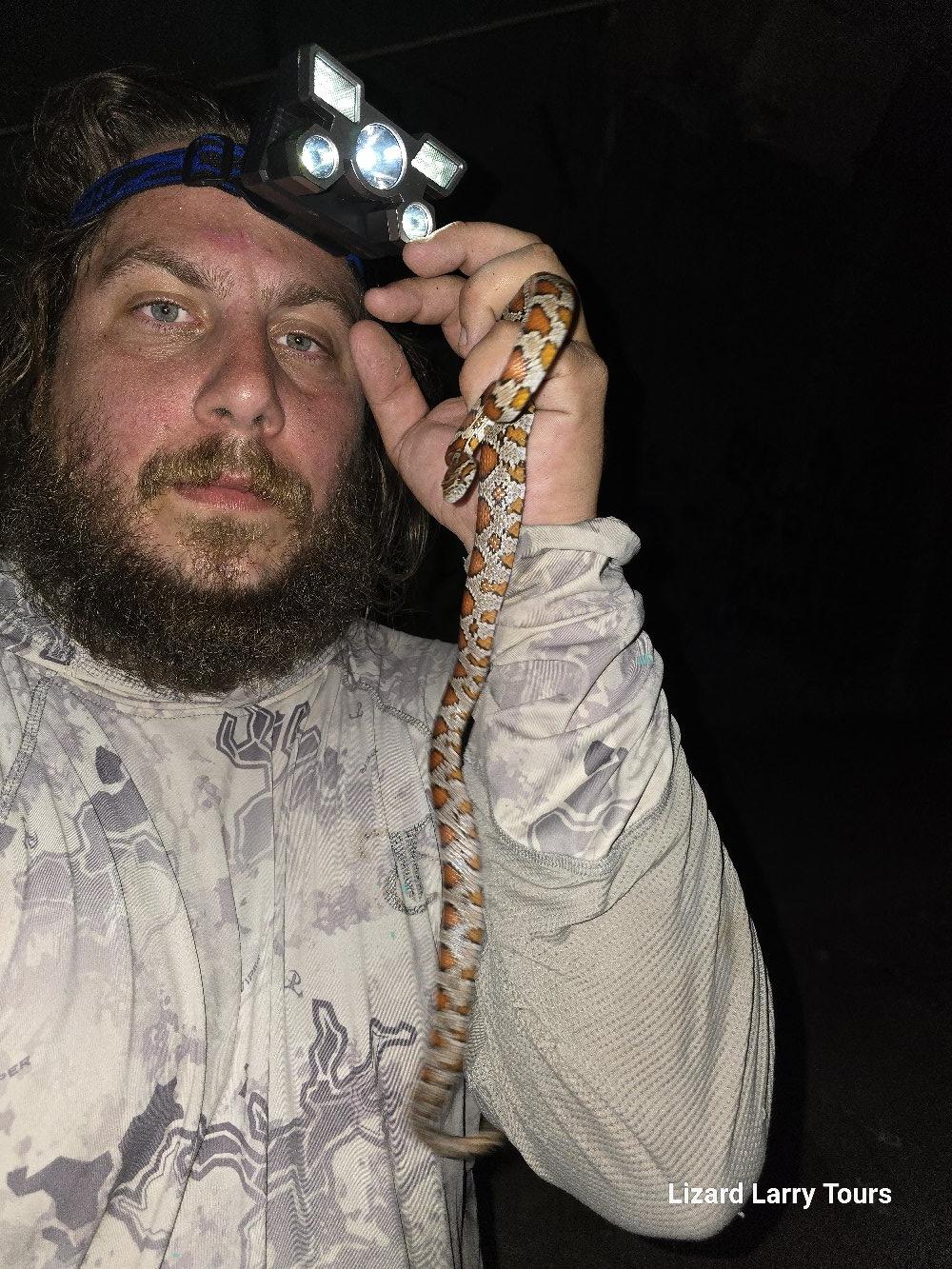 Portrait of Lizard Larry, Miami reptile and eco tour guide