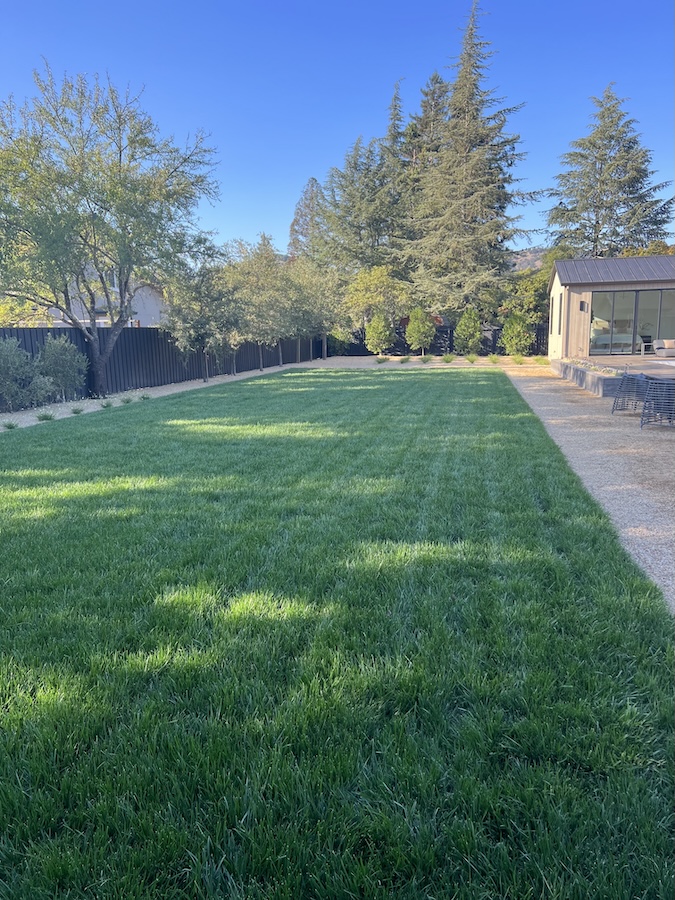 A petaluma backyard patio and new plants install with a designated eating area - Wine Country Landscaping