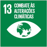 ONU-ODS-13