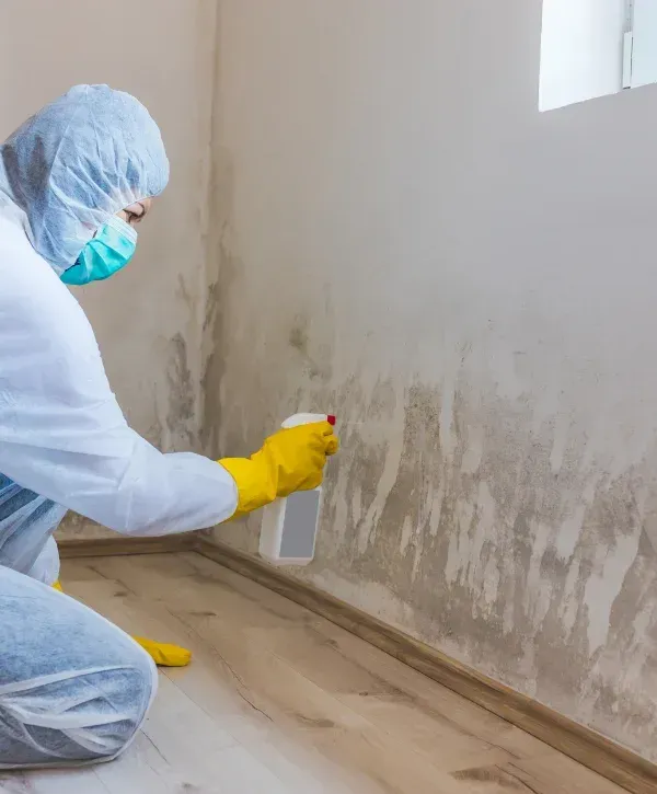 A person in a white hazmat suit inspects extensive black and dark gray mold growth covering the walls of a room.