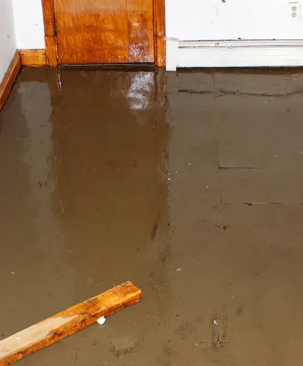 A muddy, flooded interior room with a wooden door and trim reflecting in the brown water.