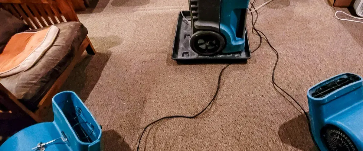 Several turquoise carpet dryers on a tan carpet, with a wooden futon frame and cushions in the background.