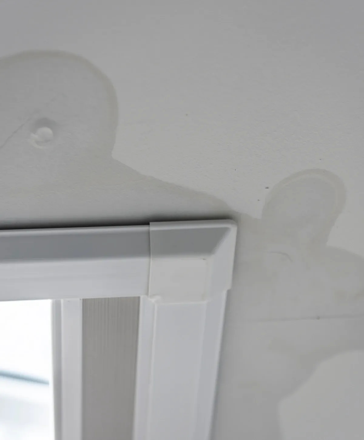 Close-up of irregular water stains on a light-colored ceiling next to a white window frame.