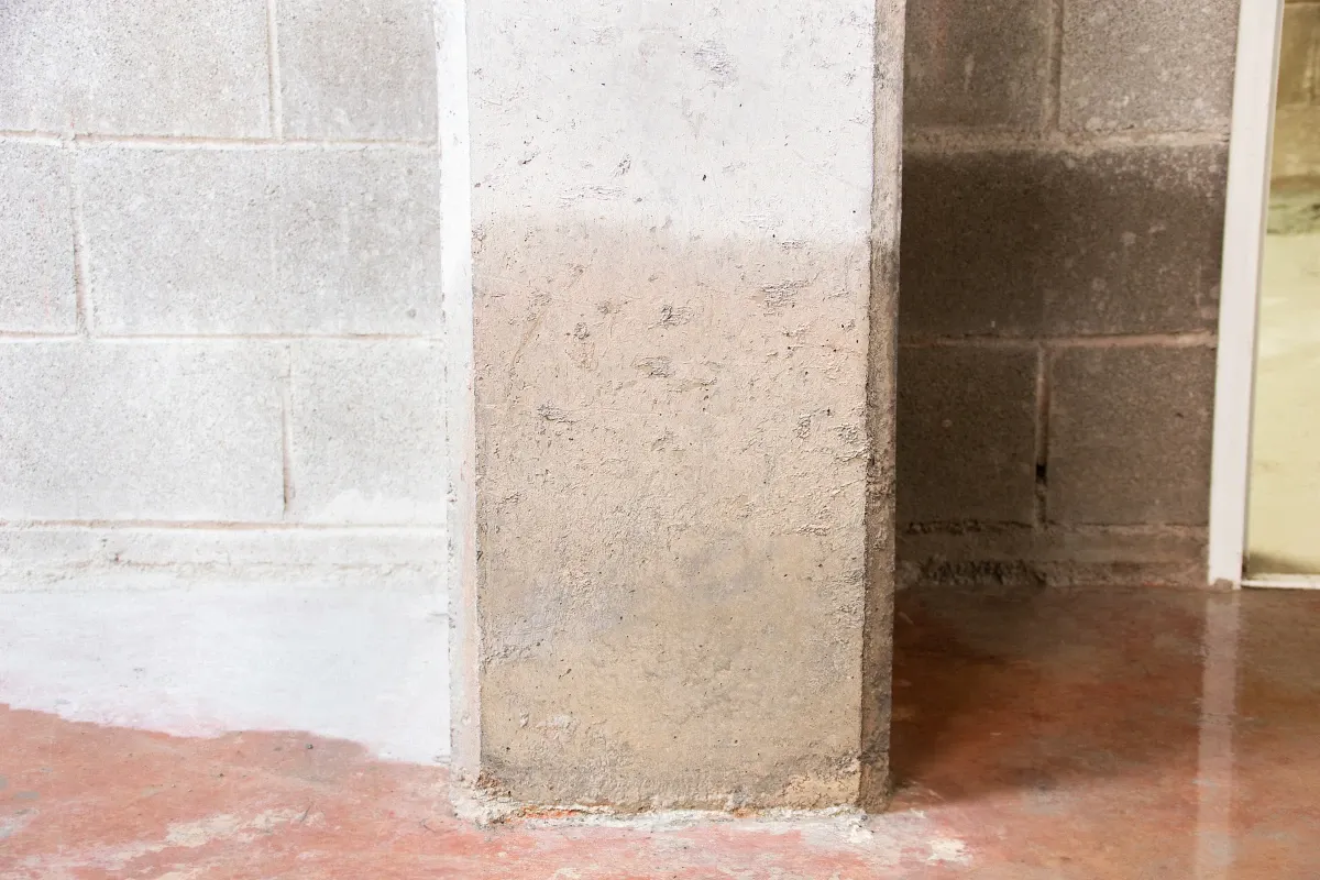 How Can You Tell If Water Damage Is Hiding Behind Walls or Under Floors?