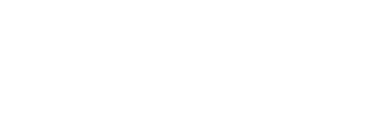 Mulligan Manual Therapy Concept