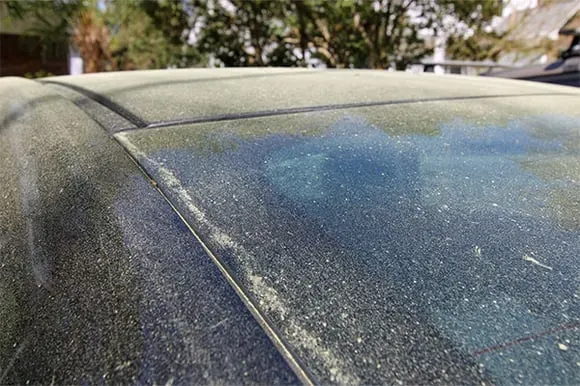Pollen damage on car paint Lake Norman NC — AJW Detailing mobile car detailing