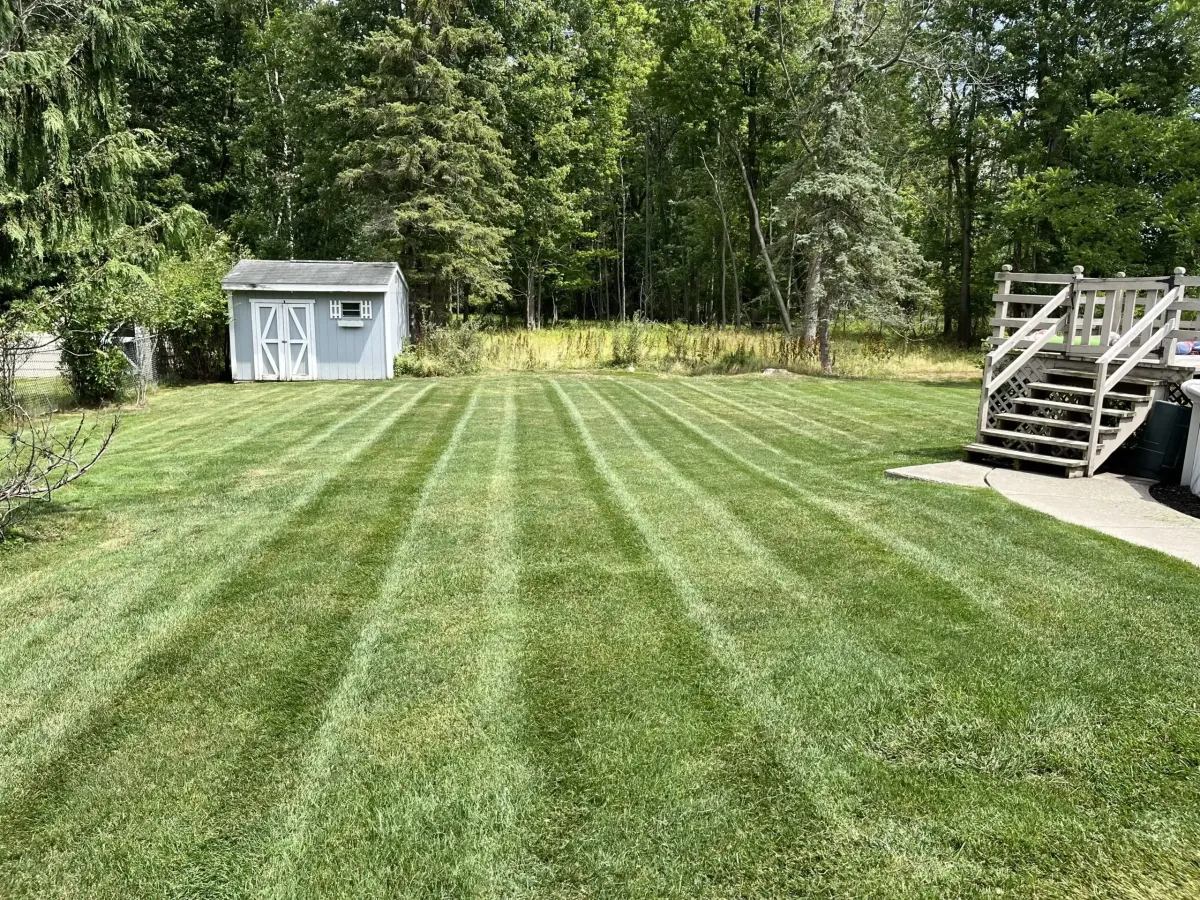 Concrete Contractor in Ventura County