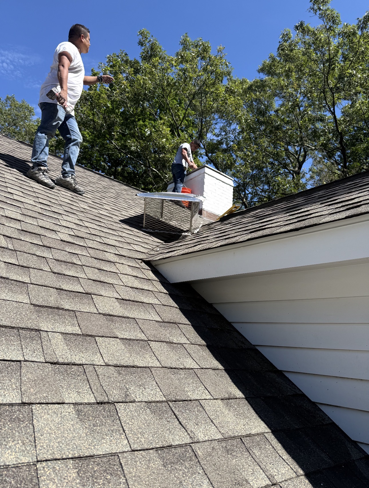 Fencing Contractor in Ventura County