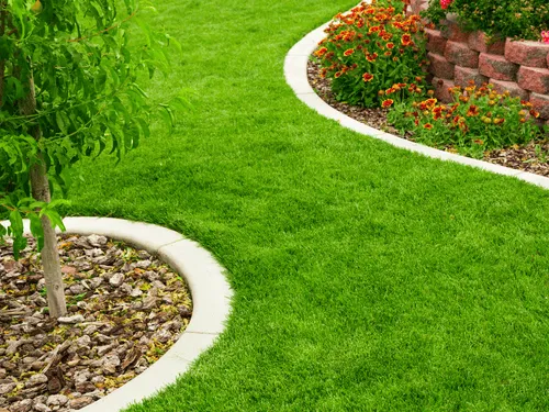 Line Trim in SouthEast Cape Coral