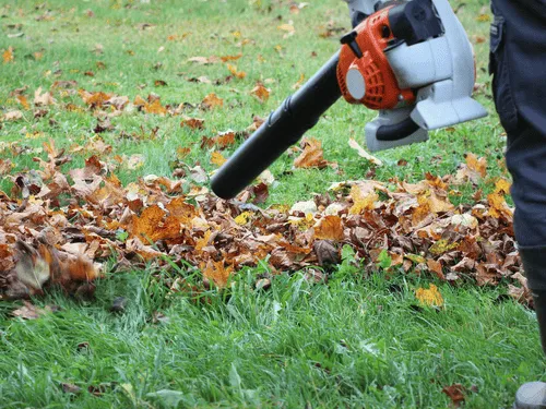 Line Trim in SouthEast Cape Coral