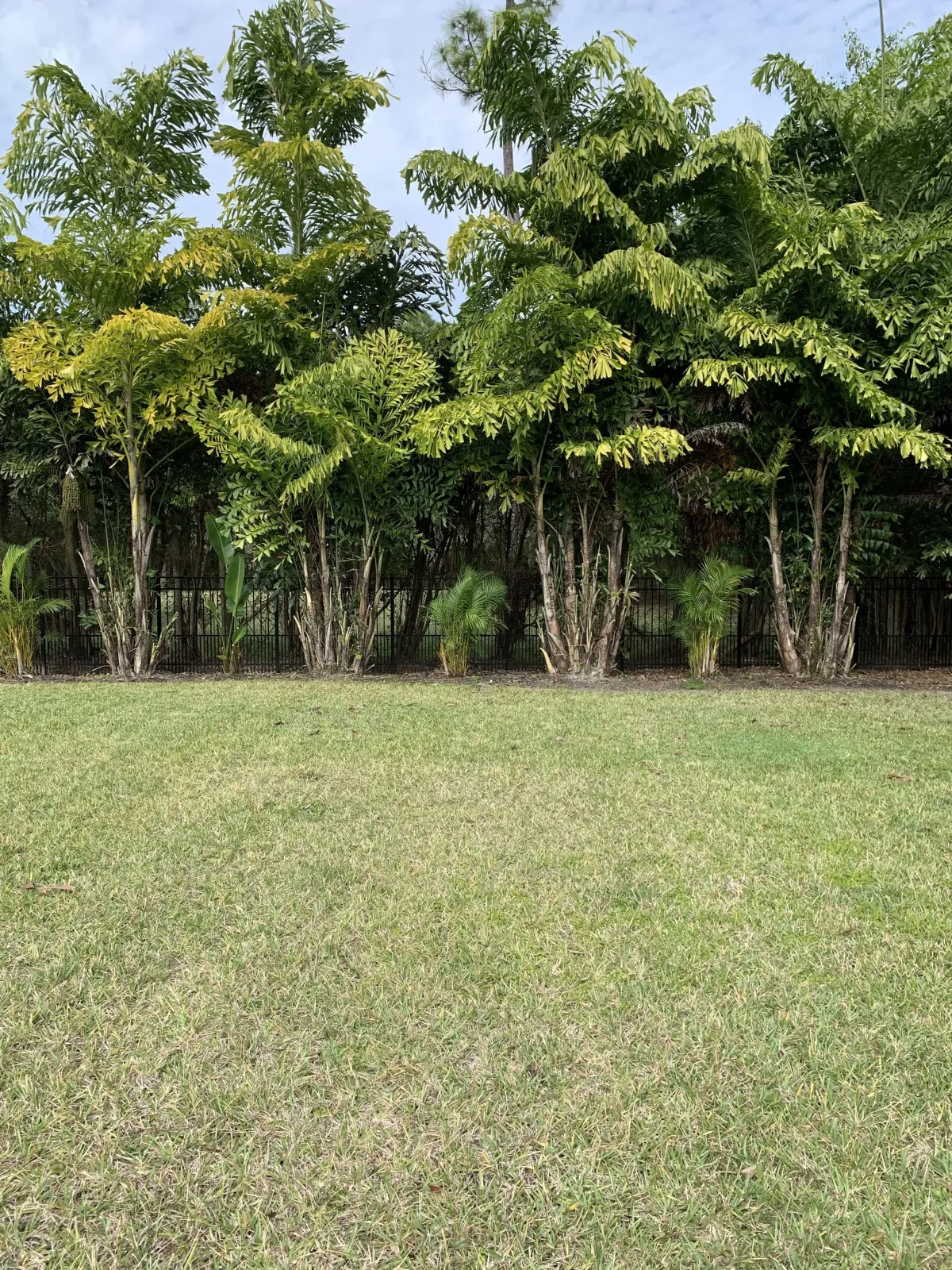 SouthEast Cape Coral