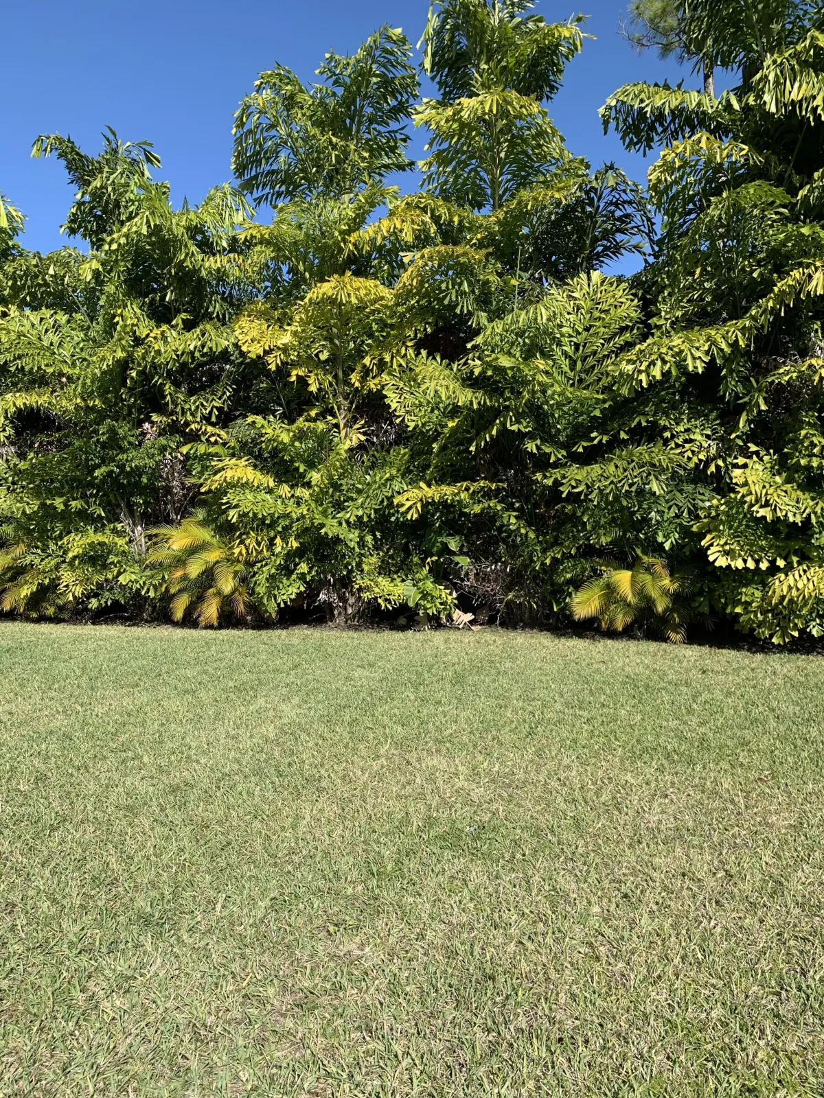 SouthEast Cape Coral