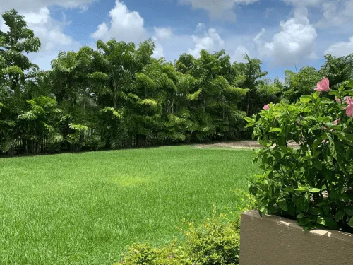 SouthEast Cape Coral