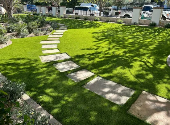 Commercial Turf Solutions in Phoenix