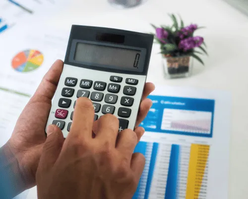Development Finance 