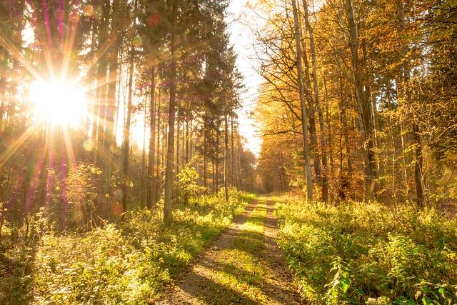 Aligned Path Insurance