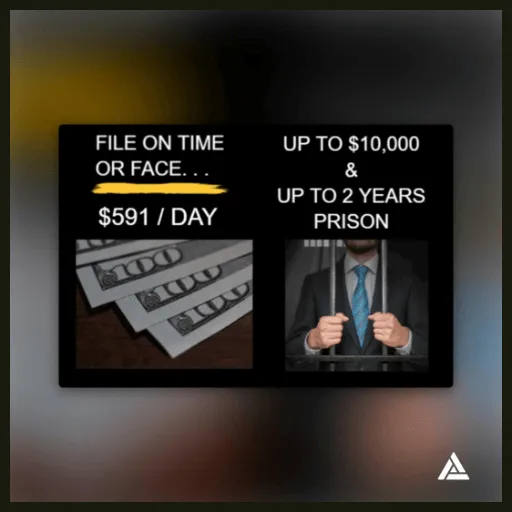 image of file on time or fine up to 10k and 2 years in prison