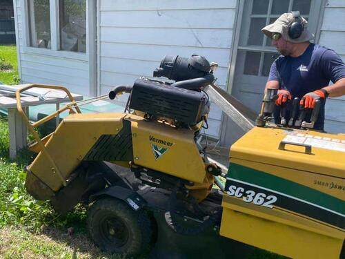 Stump Grinding New Orleans, LA