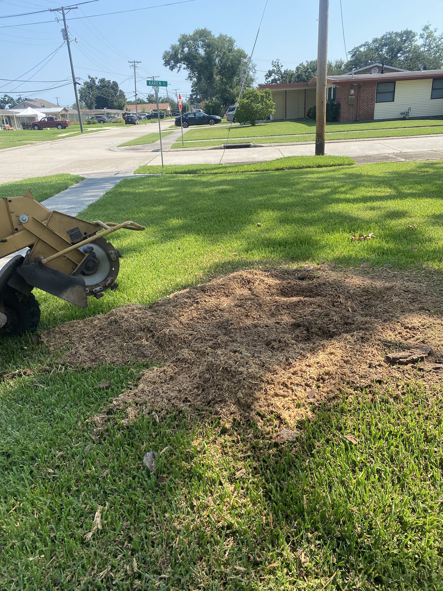 Stump Grinding New Orleans, LA