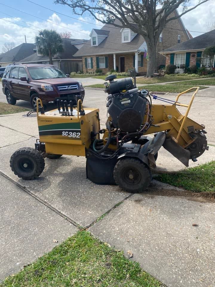 Tree Removal New Orleans, LA