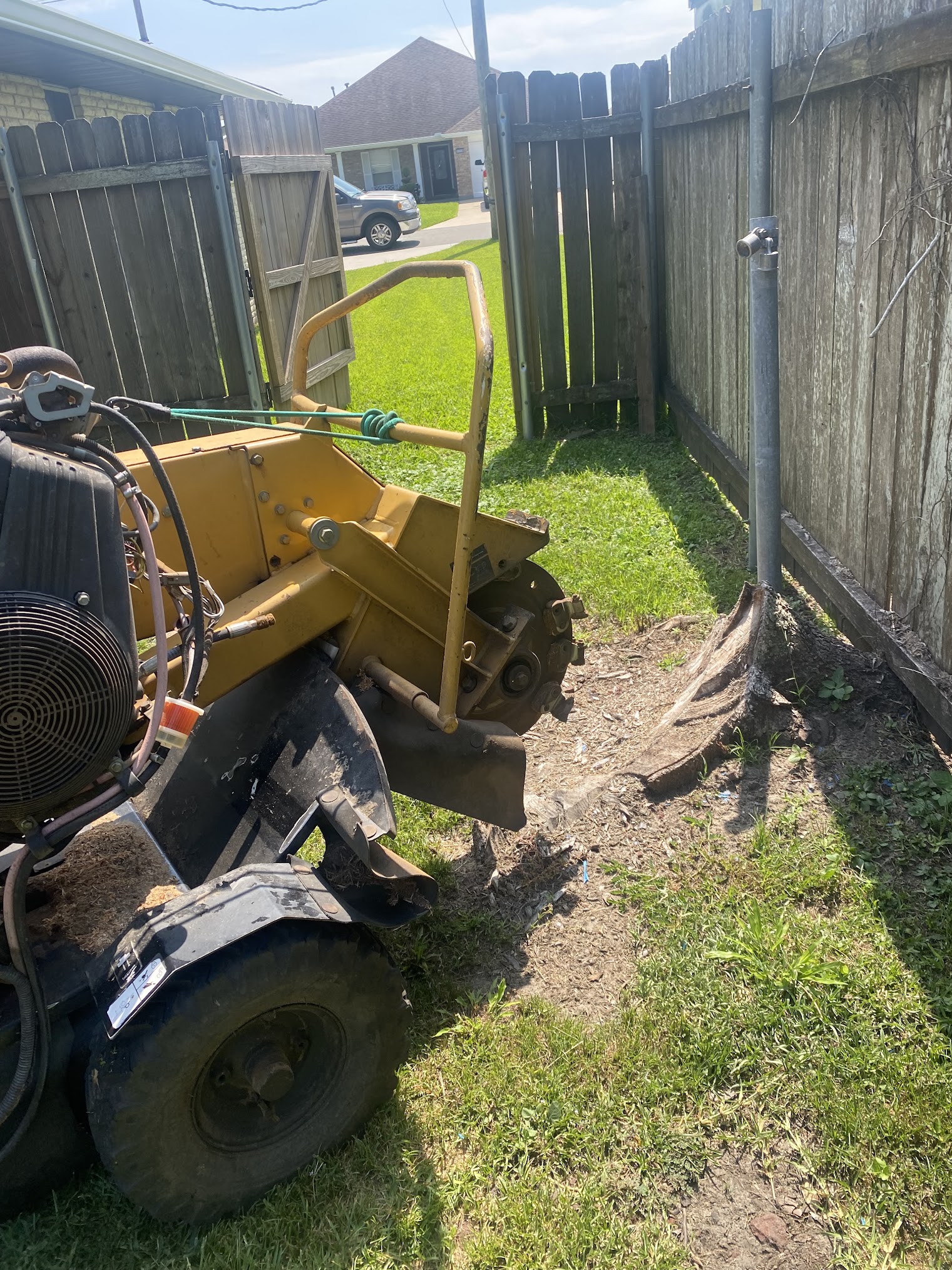 Tree Removal New Orleans, LA