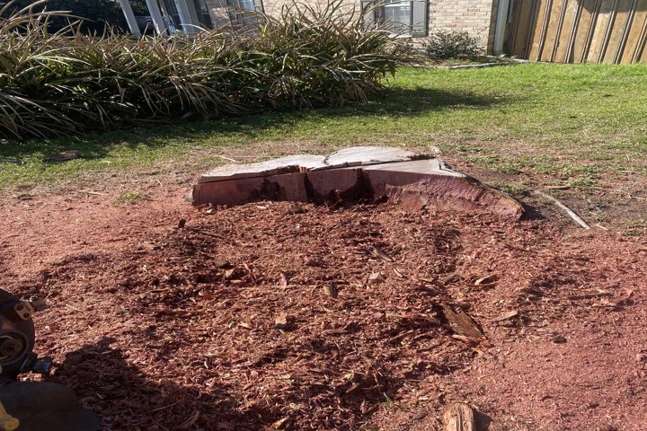 Stump Grinding New Orleans, LA