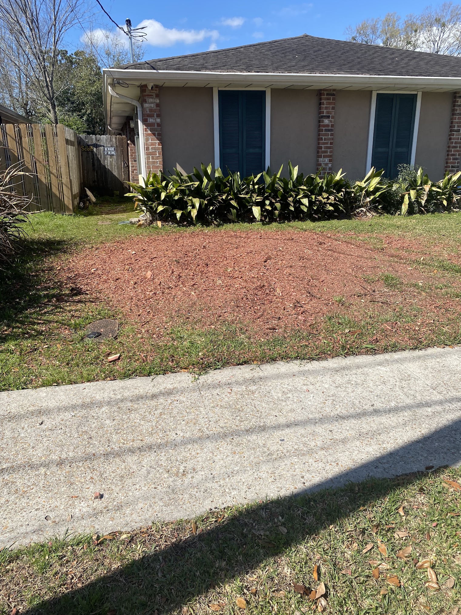 Stump Grinding New Orleans, LA
