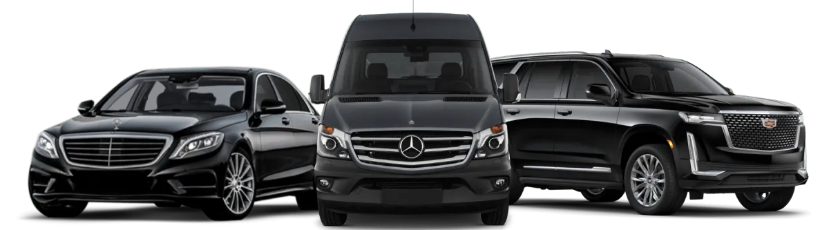 woman wearing white bikini set lying on white and brown unicorn inflatable float