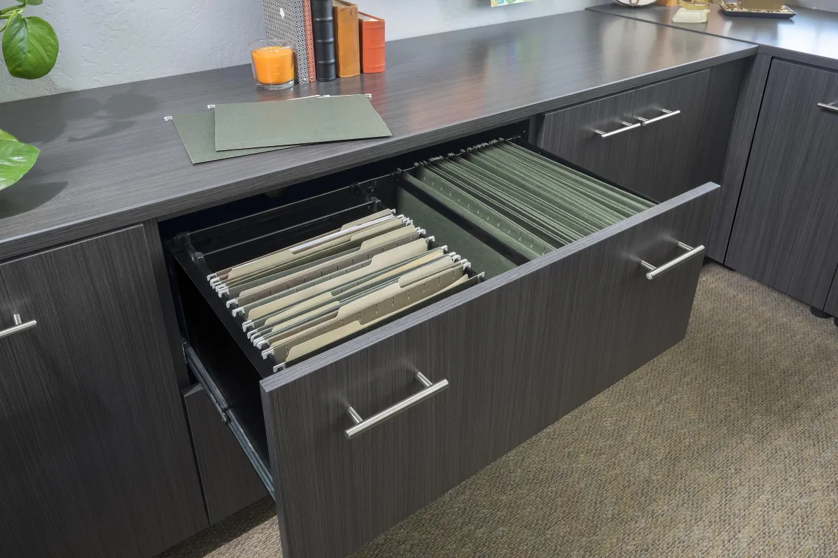 File cabinet with filing systems and additional files to file