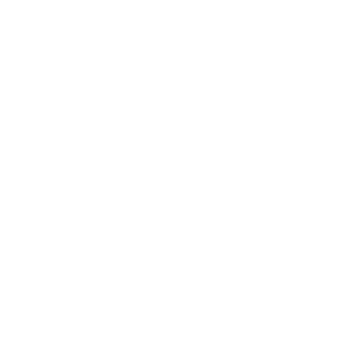 Paws At Play