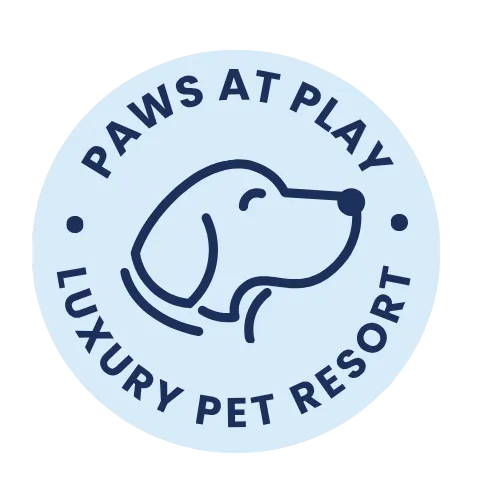 Paws At Play
