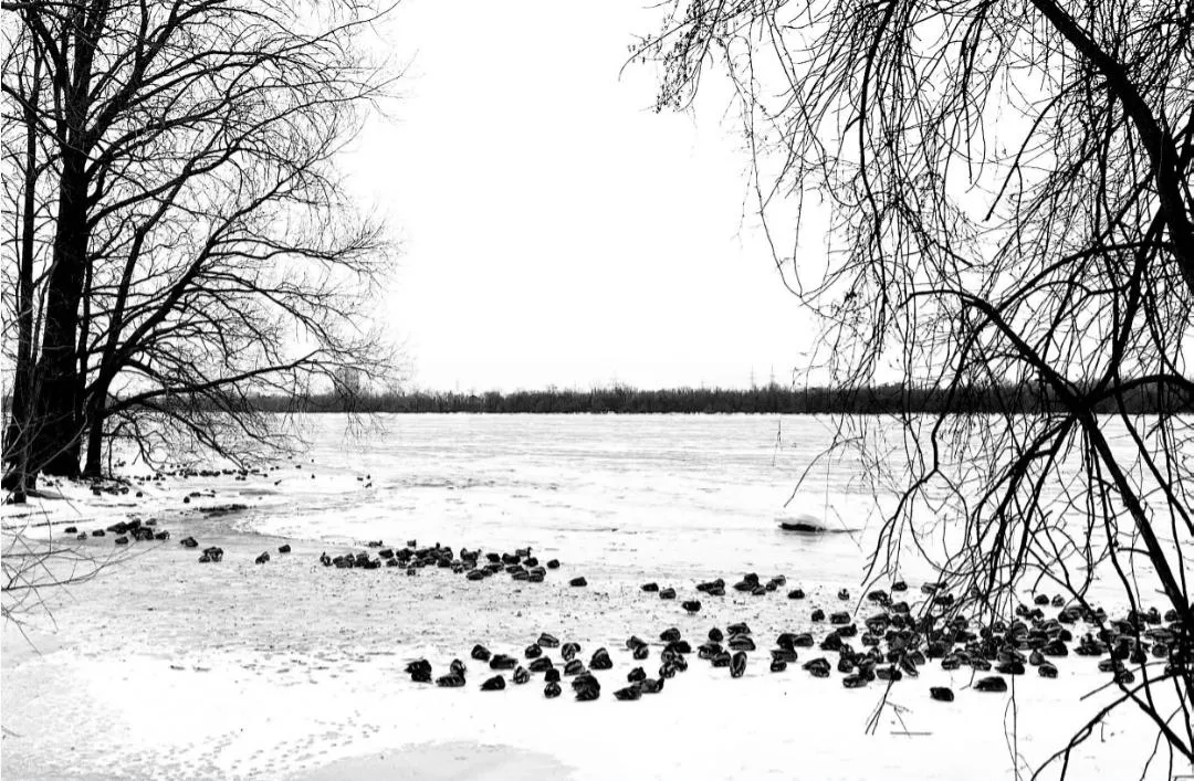 time-lapse photography of lights