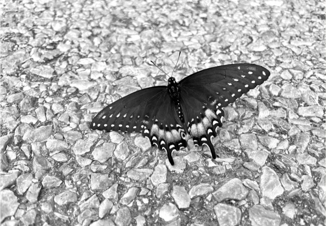 photo of outer space