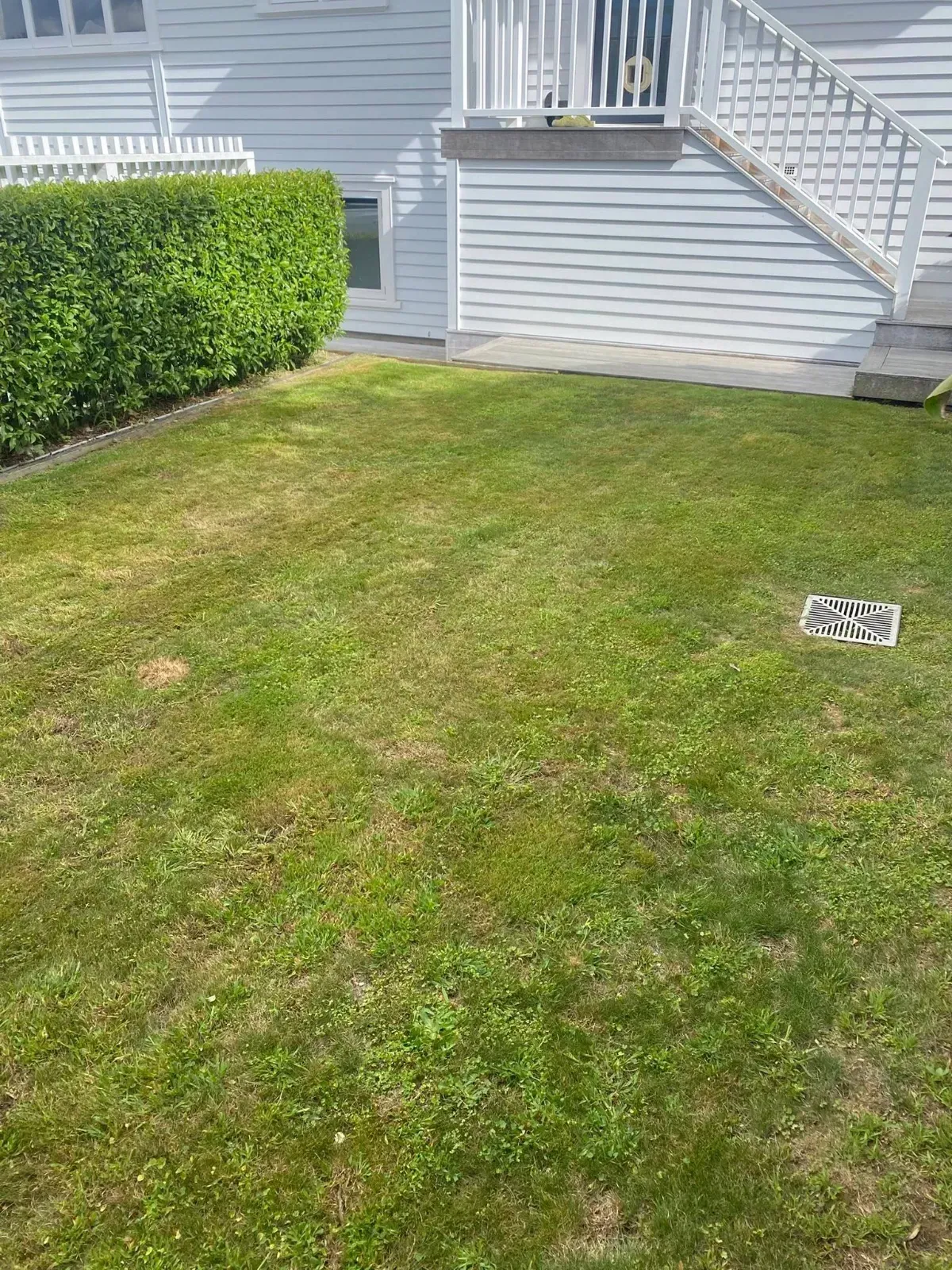 Weed trimming and lawn edging in Auckland