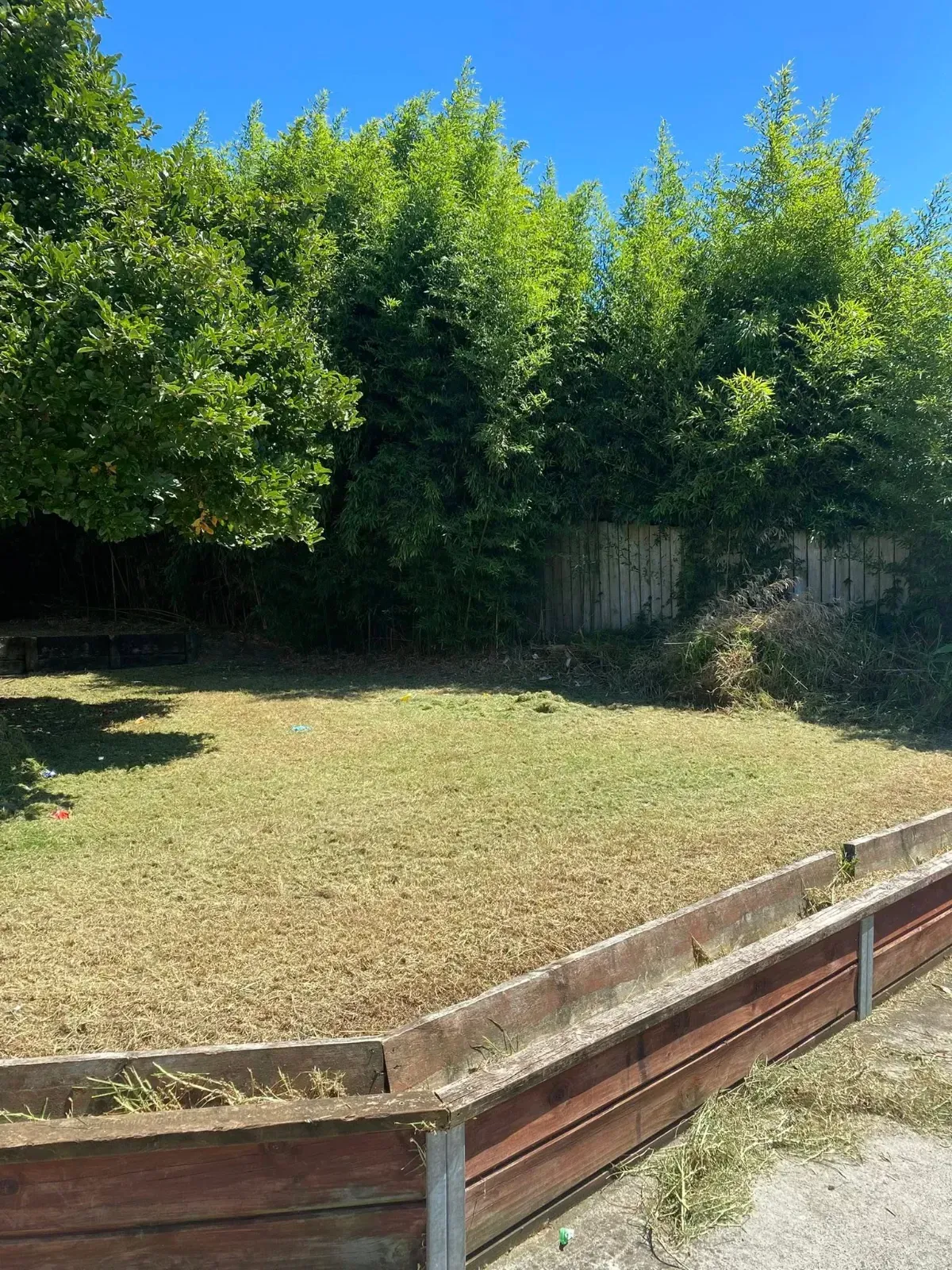 Section tidy up and lawn maintenance in Auckland
